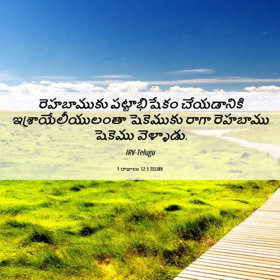 Picture 06 - 1 రాజులు 12:1 TELIRV - రెహబాముకు - Bible Verse Picture