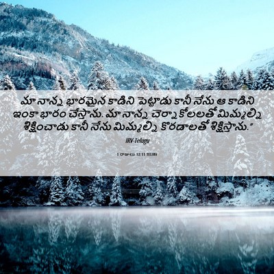 Picture 06 - 1 రాజులు 12:11 TELIRV - మా నాన్న భారమైన - Bible Verse Picture