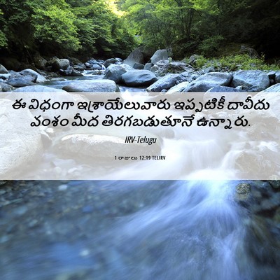 Picture 06 - 1 రాజులు 12:19 TELIRV - ఈ విధంగా - Bible Verse Picture