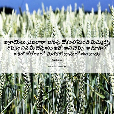Picture 06 - 1 రాజులు 12:29 TELIRV - ఇశ్రాయేలు - Bible Verse Picture