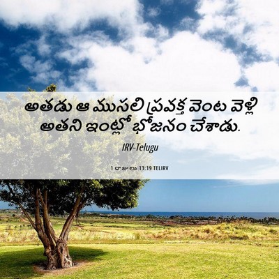 Picture 06 - 1 రాజులు 13:19 TELIRV - అతడు ఆ ముసలి - Bible Verse Picture