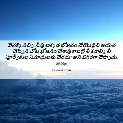 Picture 06 - 1 రాజులు 13:22 TELIRV - వెనక్కి వచ్చి, - Bible Verse Picture