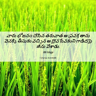 Picture 06 - 1 రాజులు 13:23 TELIRV - వారు భోజనం చేసిన - Bible Verse Picture