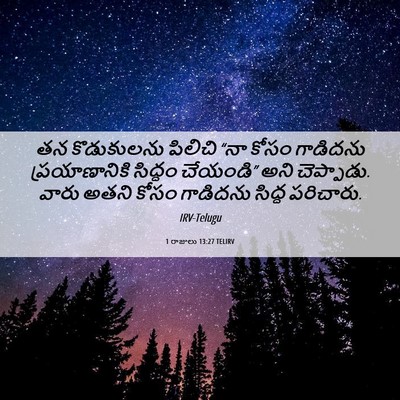Picture 06 - 1 రాజులు 13:27 TELIRV - తన కొడుకులను - Bible Verse Picture