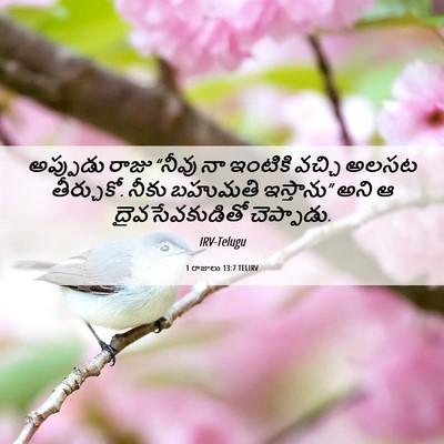 Picture 06 - 1 రాజులు 13:7 TELIRV - అప్పుడు రాజు - Bible Verse Picture