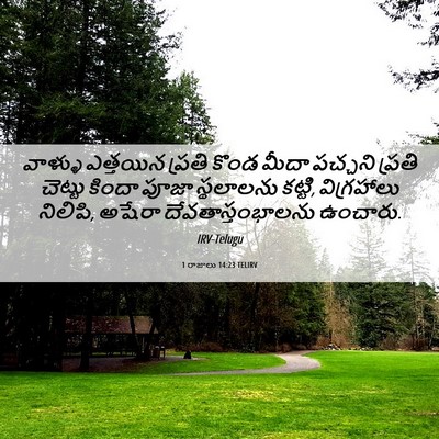 Picture 06 - 1 రాజులు 14:23 TELIRV - వాళ్ళు ఎత్తయిన - Bible Verse Picture