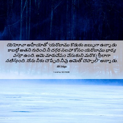 Picture 06 - 1 రాజులు 14:5 TELIRV - యెహోవా అహీయాతో - Bible Verse Picture