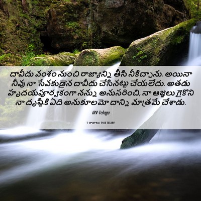 Picture 06 - 1 రాజులు 14:8 TELIRV - దావీదు వంశం నుంచి - Bible Verse Picture