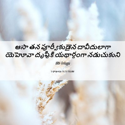 Picture 06 - 1 రాజులు 15:11 TELIRV - ఆసా తన - Bible Verse Picture