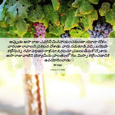 Picture 06 - 1 రాజులు 15:22 TELIRV - అప్పుడు ఆసా రాజు - Bible Verse Picture