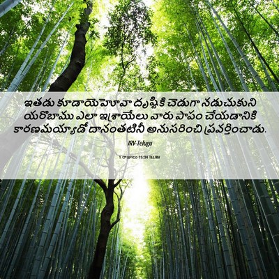 Picture 06 - 1 రాజులు 15:34 TELIRV - ఇతడు కూడాయెహోవా - Bible Verse Picture