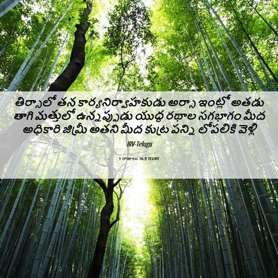 Picture 06 - 1 రాజులు 16:9 TELIRV - తిర్సాలో తన - Bible Verse Picture