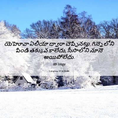 Picture 06 - 1 రాజులు 17:16 TELIRV - యెహోవా ఏలీయా - Bible Verse Picture