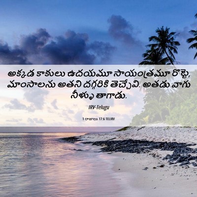 Picture 06 - 1 రాజులు 17:6 TELIRV - అక్కడ కాకులు - Bible Verse Picture
