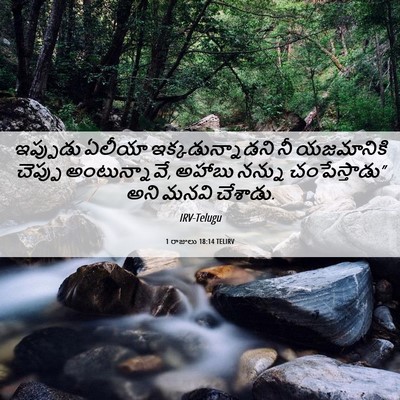 Picture 06 - 1 రాజులు 18:14 TELIRV - ఇప్పుడు ఏలీయా - Bible Verse Picture