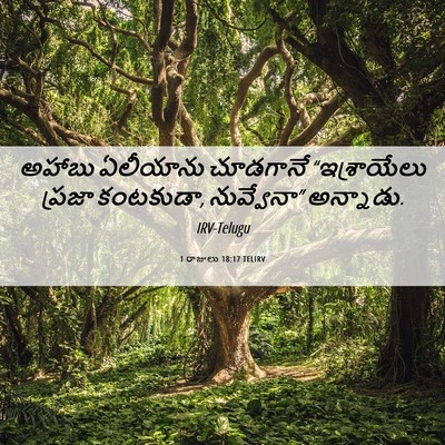 Picture 06 - 1 రాజులు 18:17 TELIRV - అహాబు ఏలీయాను - Bible Verse Picture