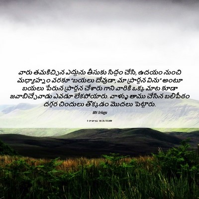 Picture 06 - 1 రాజులు 18:26 TELIRV - వారు తమకిచ్చిన - Bible Verse Picture