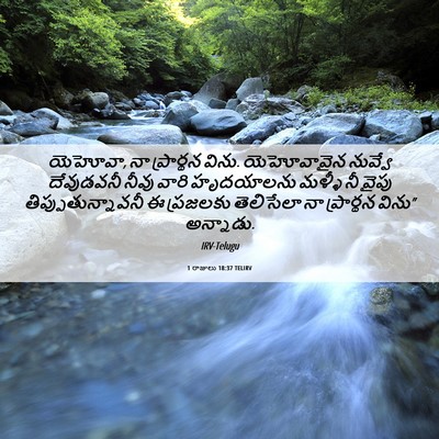 Picture 06 - 1 రాజులు 18:37 TELIRV - యెహోవా, నా - Bible Verse Picture