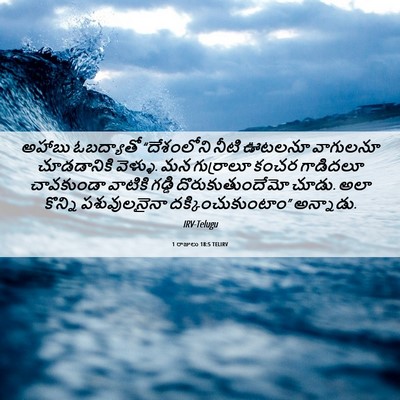 Picture 06 - 1 రాజులు 18:5 TELIRV - అహాబు ఓబద్యాతో - Bible Verse Picture