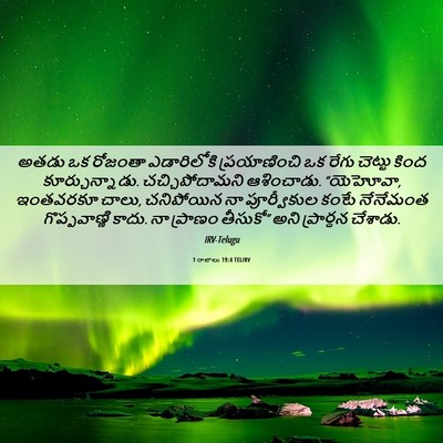 Picture 06 - 1 రాజులు 19:4 TELIRV - అతడు ఒక రోజంతా - Bible Verse Picture