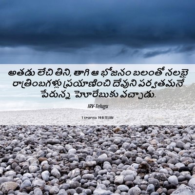 Picture 06 - 1 రాజులు 19:8 TELIRV - అతడు లేచి తిని, - Bible Verse Picture