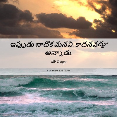 Picture 06 - 1 రాజులు 2:16 TELIRV - ఇప్పుడు నాదొక - Bible Verse Picture