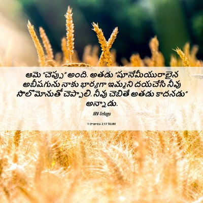 Picture 06 - 1 రాజులు 2:17 TELIRV - ఆమె “చెప్పు” అంది. - Bible Verse Picture