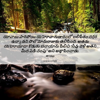 Picture 06 - 1 రాజులు 2:29 TELIRV - యోవాబు పారిపోయి - Bible Verse Picture