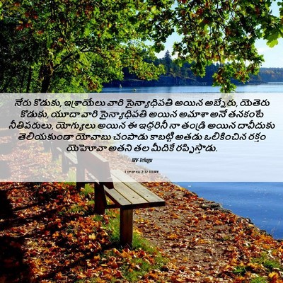Picture 06 - 1 రాజులు 2:32 TELIRV - నేరు కొడుకు, - Bible Verse Picture