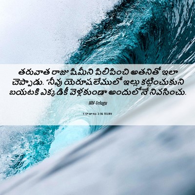 Picture 06 - 1 రాజులు 2:36 TELIRV - తరువాత రాజు - Bible Verse Picture