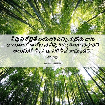 Picture 06 - 1 రాజులు 2:37 TELIRV - నీవు ఏ రోజైతే - Bible Verse Picture