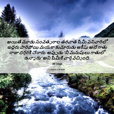 Picture 06 - 1 రాజులు 2:39 TELIRV - అయితే మూడు - Bible Verse Picture
