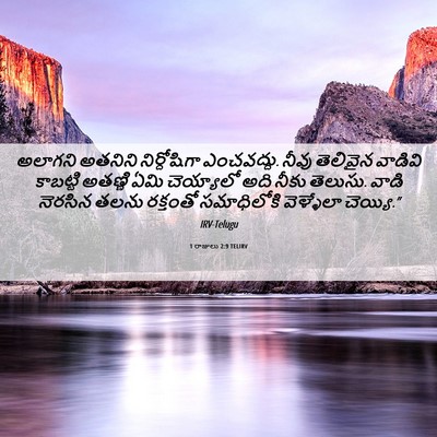 Picture 06 - 1 రాజులు 2:9 TELIRV - అలాగని అతనిని - Bible Verse Picture