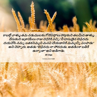 Picture 06 - 1 రాజులు 20:32 TELIRV - కాబట్టి వాళ్ళు తమ - Bible Verse Picture