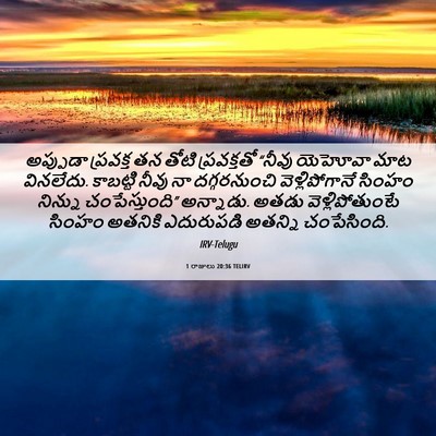 Picture 06 - 1 రాజులు 20:36 TELIRV - అప్పుడా ప్రవక్త - Bible Verse Picture