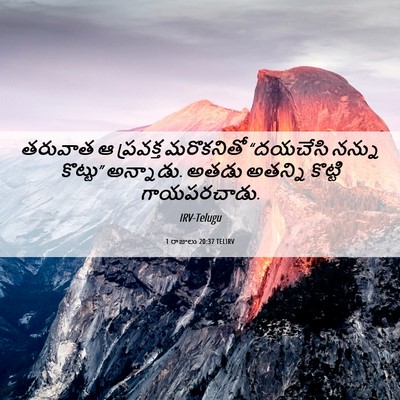 Picture 06 - 1 రాజులు 20:37 TELIRV - తరువాత ఆ ప్రవక్త - Bible Verse Picture