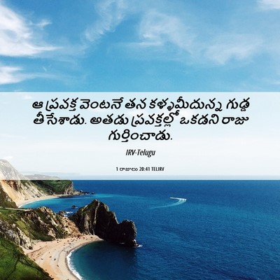 Picture 06 - 1 రాజులు 20:41 TELIRV - ఆ ప్రవక్త వెంటనే - Bible Verse Picture