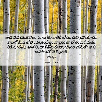 Picture 06 - 1 రాజులు 21:15 TELIRV - అది విని యెజెబెలు - Bible Verse Picture