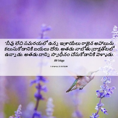 Picture 06 - 1 రాజులు 21:18 TELIRV - “నీవు లేచి సమరయలో - Bible Verse Picture