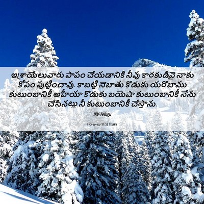 Picture 06 - 1 రాజులు 21:22 TELIRV - ఇశ్రాయేలువారు - Bible Verse Picture