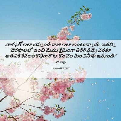 Picture 06 - 1 రాజులు 22:27 TELIRV - వాళ్ళతో ఇలా - Bible Verse Picture