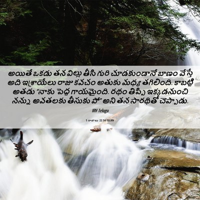 Picture 06 - 1 రాజులు 22:34 TELIRV - అయితే ఒకడు తన - Bible Verse Picture