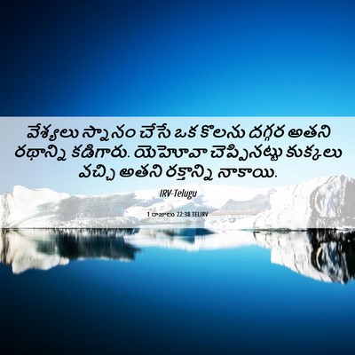 Picture 06 - 1 రాజులు 22:38 TELIRV - వేశ్యలు స్నానం - Bible Verse Picture