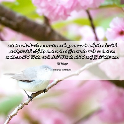 Picture 06 - 1 రాజులు 22:48 TELIRV - యెహోషాపాతు బంగారం - Bible Verse Picture