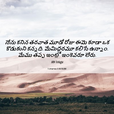 Picture 06 - 1 రాజులు 3:18 TELIRV - నేను కనిన తరవాత - Bible Verse Picture