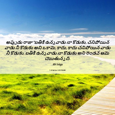 Picture 06 - 1 రాజులు 3:23 TELIRV - అప్పుడు రాజు - Bible Verse Picture