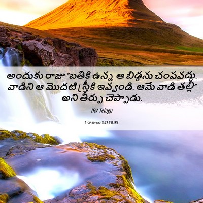 Picture 06 - 1 రాజులు 3:27 TELIRV - అందుకు రాజు - Bible Verse Picture