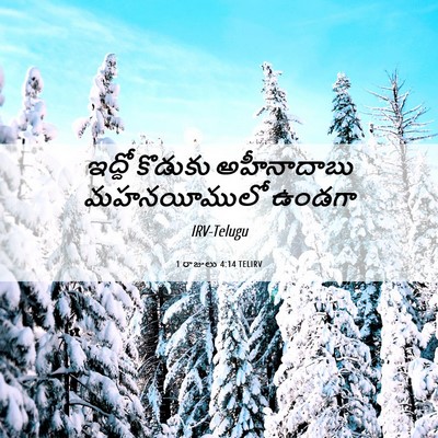 Picture 06 - 1 రాజులు 4:14 TELIRV - ఇద్దో కొడుకు - Bible Verse Picture