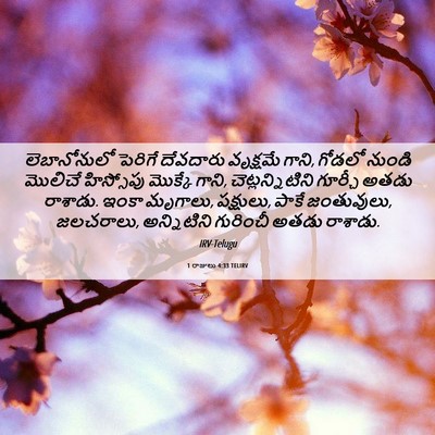 Picture 06 - 1 రాజులు 4:33 TELIRV - లెబానోనులో పెరిగే - Bible Verse Picture