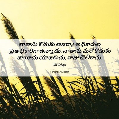 Picture 06 - 1 రాజులు 4:5 TELIRV - నాతాను కొడుకు - Bible Verse Picture